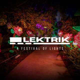 LEKTRIK: A Festival of Lights (ends soon) – PROMO&nbsp;CODE