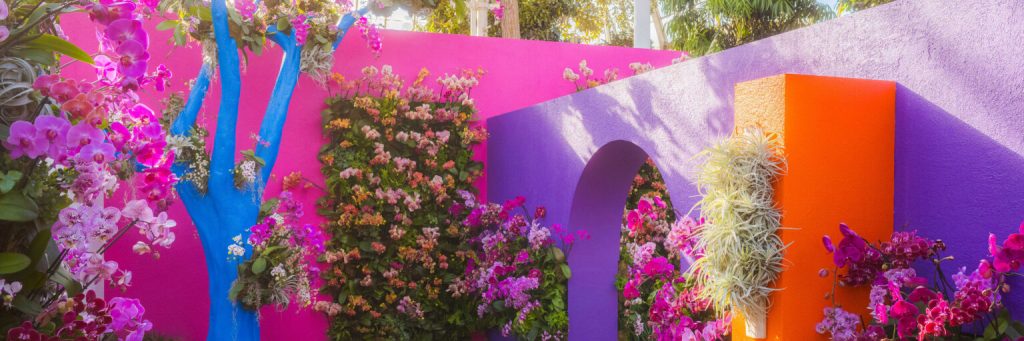 New York Botanical Garden – Save&nbsp;20%