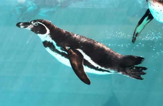 AQUARIUMS in New&nbsp;York