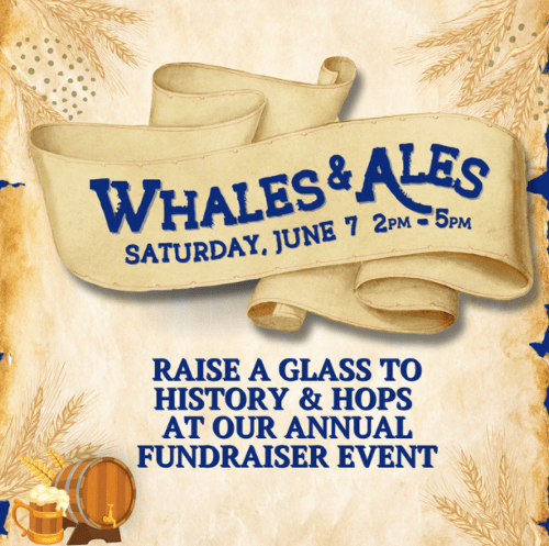 Whales and ALES – Long&nbsp;Island