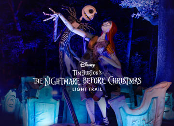 Disney Tim Burton’s The Nightmare Before Christmas Light Trail – Promo&nbsp;Code