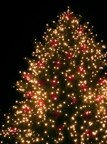 5 New York Tree&nbsp;Lightings
